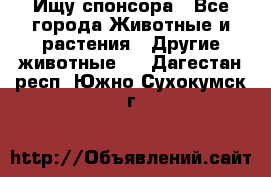 Ищу спонсора - Все города Животные и растения » Другие животные   . Дагестан респ.,Южно-Сухокумск г.